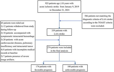 Cerebral small vessel disease combined with cerebral collaterals to predict the prognosis of patients with acute large artery atherosclerotic stroke